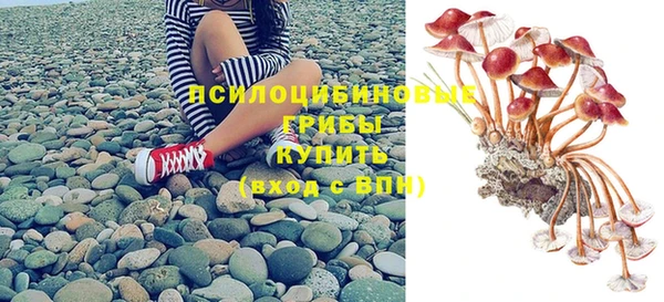 меф Белокуриха