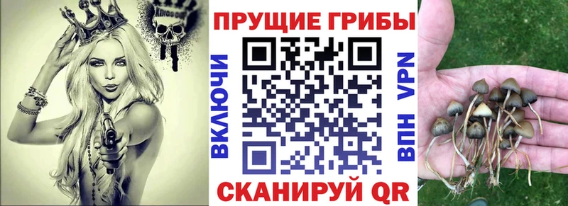 маркетплейс какой сайт  Иланский  Галлюциногенные грибы GOLDEN TEACHER 